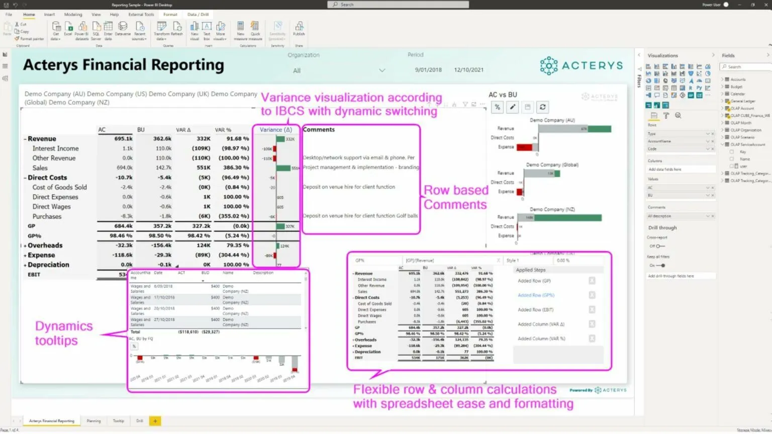 Acterys Reporting画面